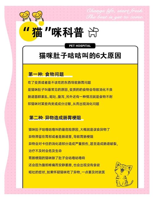 给猫吃了奶后肚子里面咕噜咕噜是怎么回事
