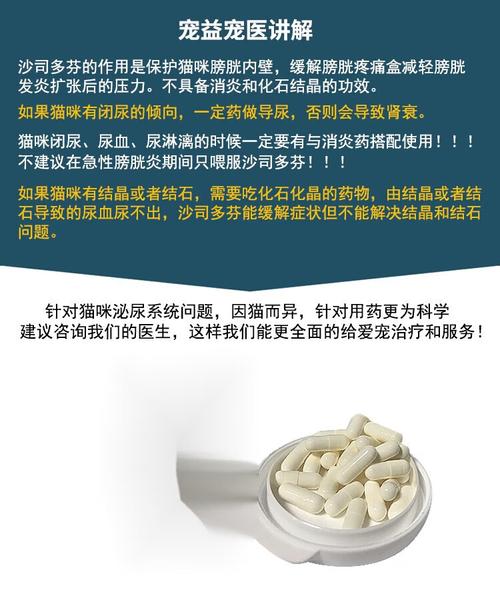 猫尿血吃什么药比较好