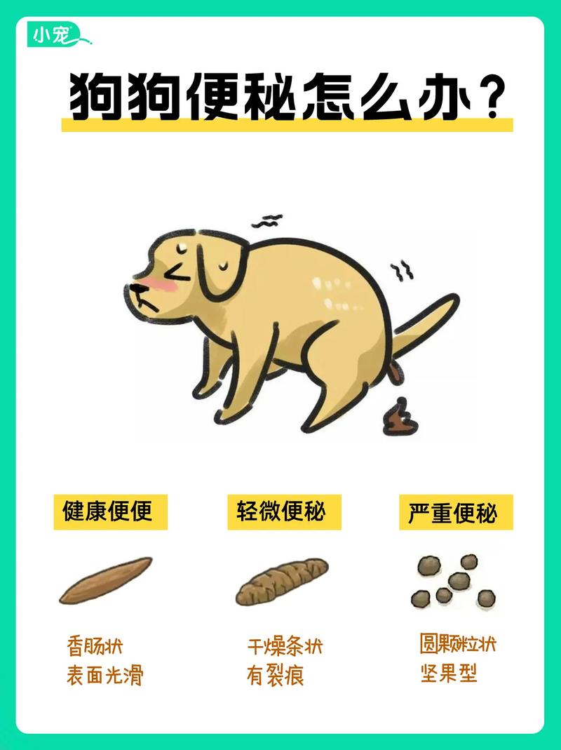 狗狗吃了骨头便便不出怎么办?