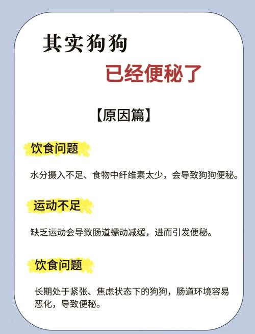 狗狗拉便便就是拉不下来,怎么办!急死我了