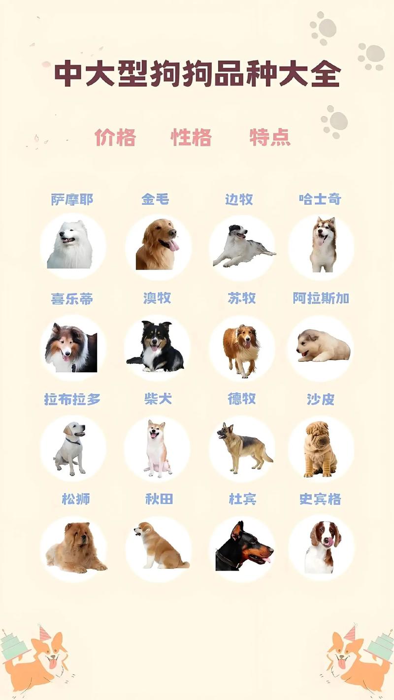 这狗是什么品种?它一直是10斤左右。