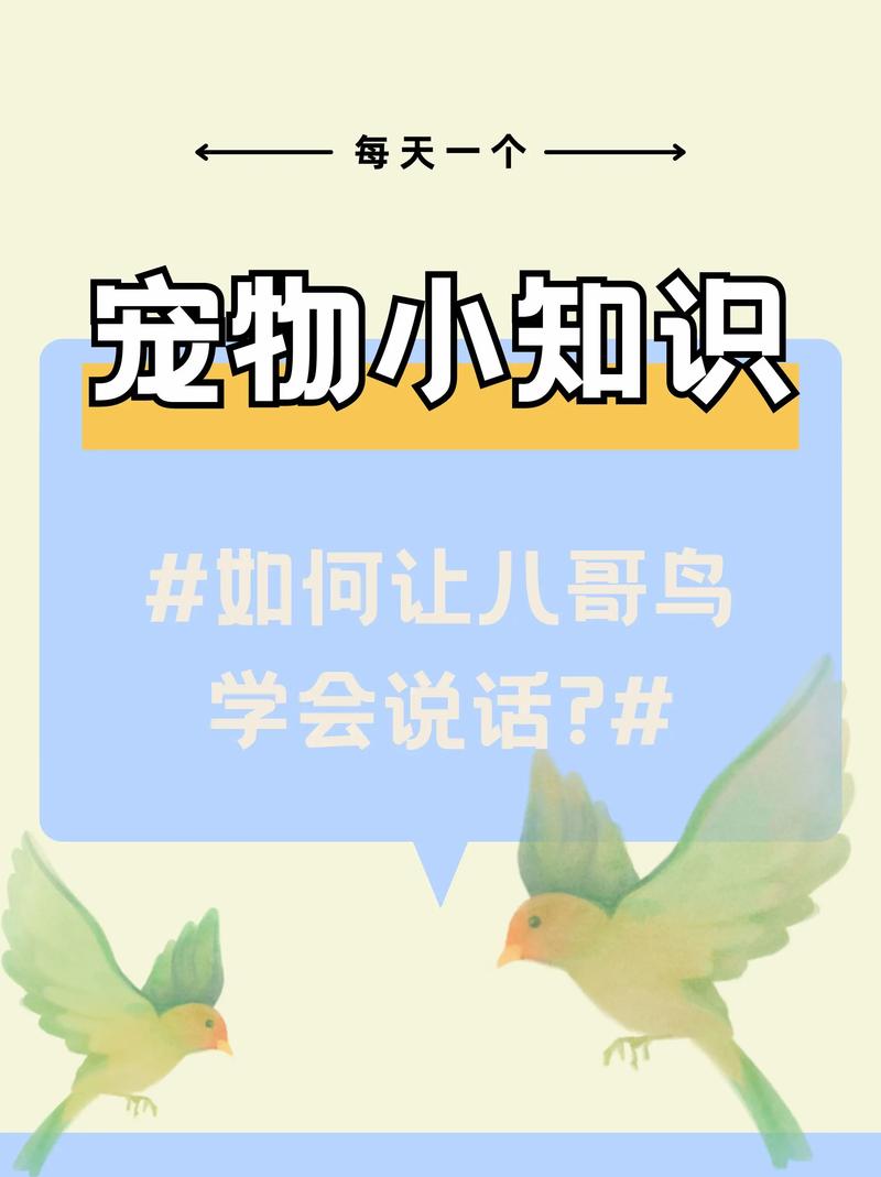怎样快速的教八哥学说话
