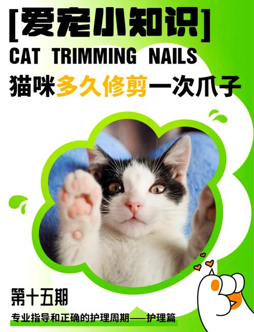 猫猫多久剪一次指甲比较好呢?为什么?