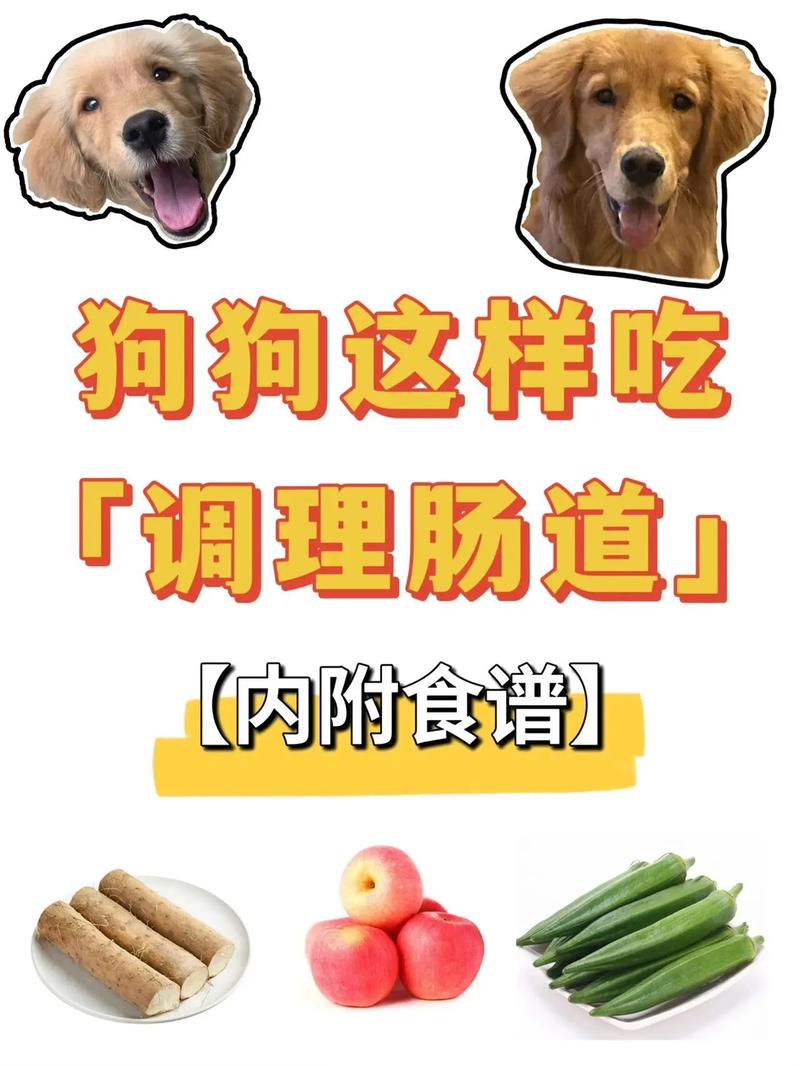 狗狗肠胃宝怎么个吃法?