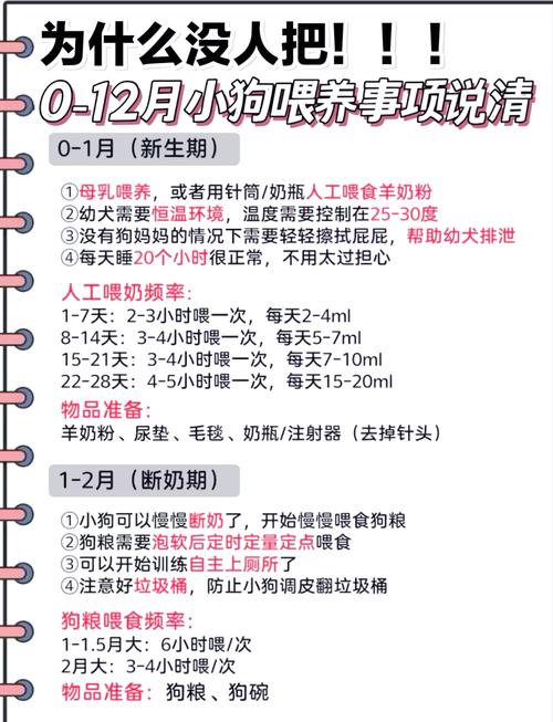 狗几个月断奶