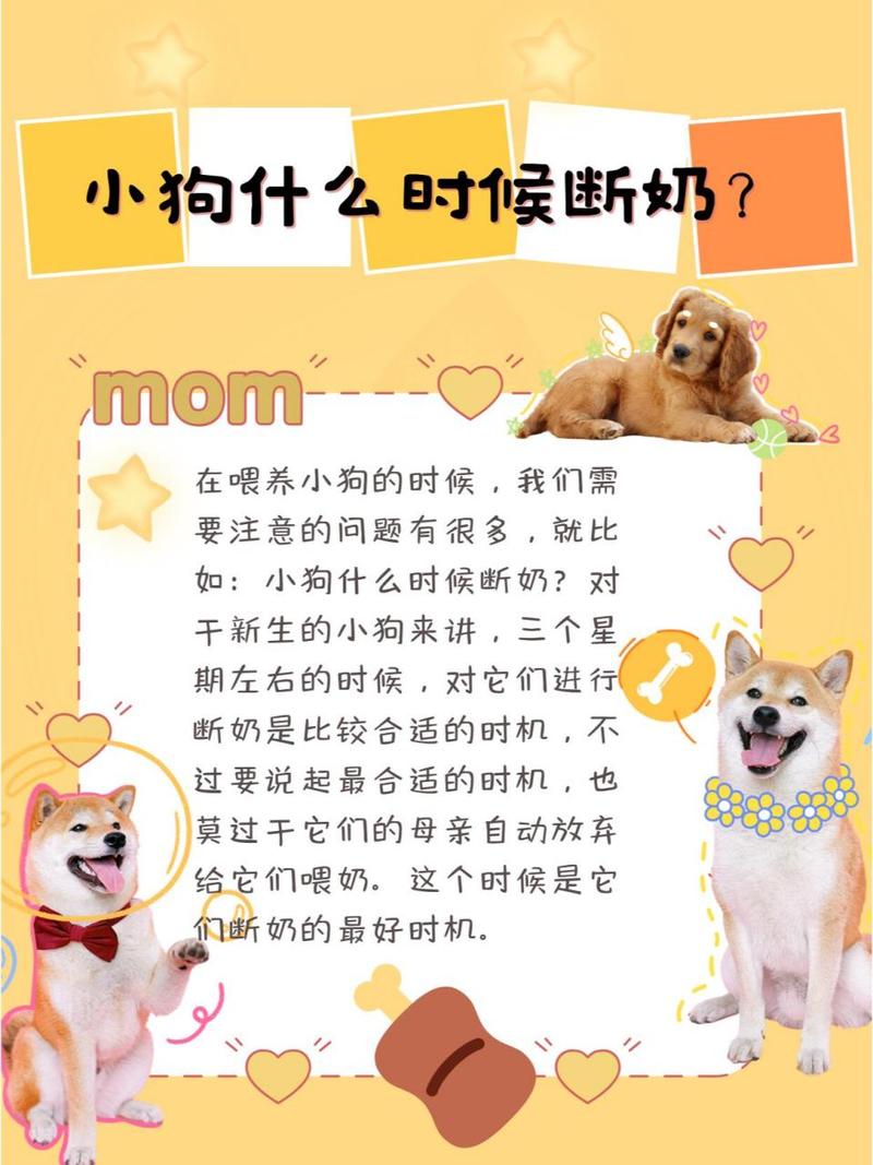 狗多大的时候断奶比较合适?