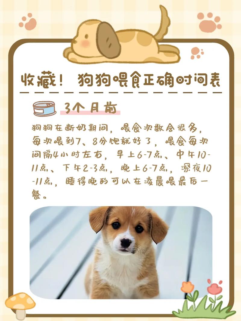 狗狗一般什么时候断奶?