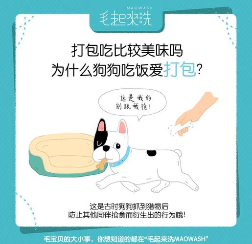 狗狗为什么会藏食物