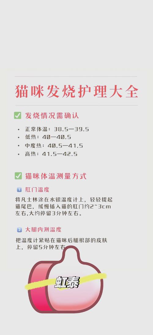 怎么给猫量体温