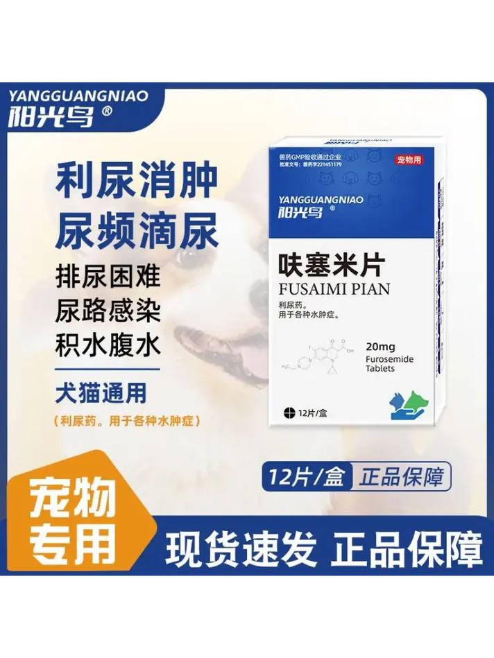 狗狗尿失禁什么原因怎样治疗(狗狗尿失禁吃什么药比较好
)