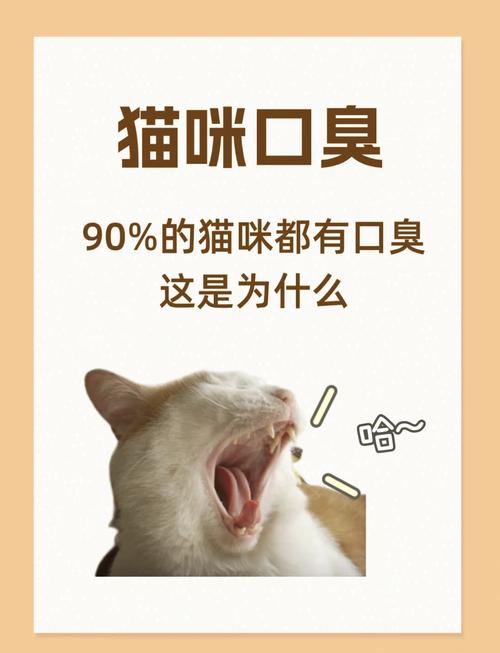 猫咪有口臭是什么原因，猫咪口臭是什么原因引起的,怎样去除