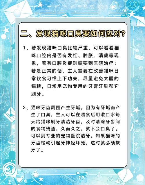 小猫很精神但是口臭怎么回事