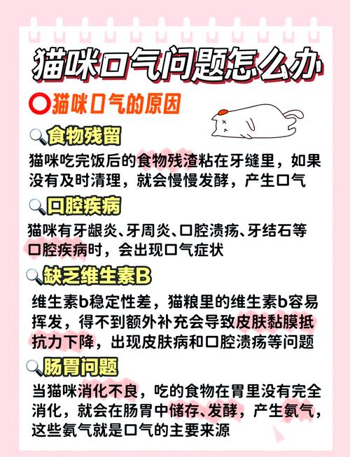 小猫很精神但是口臭