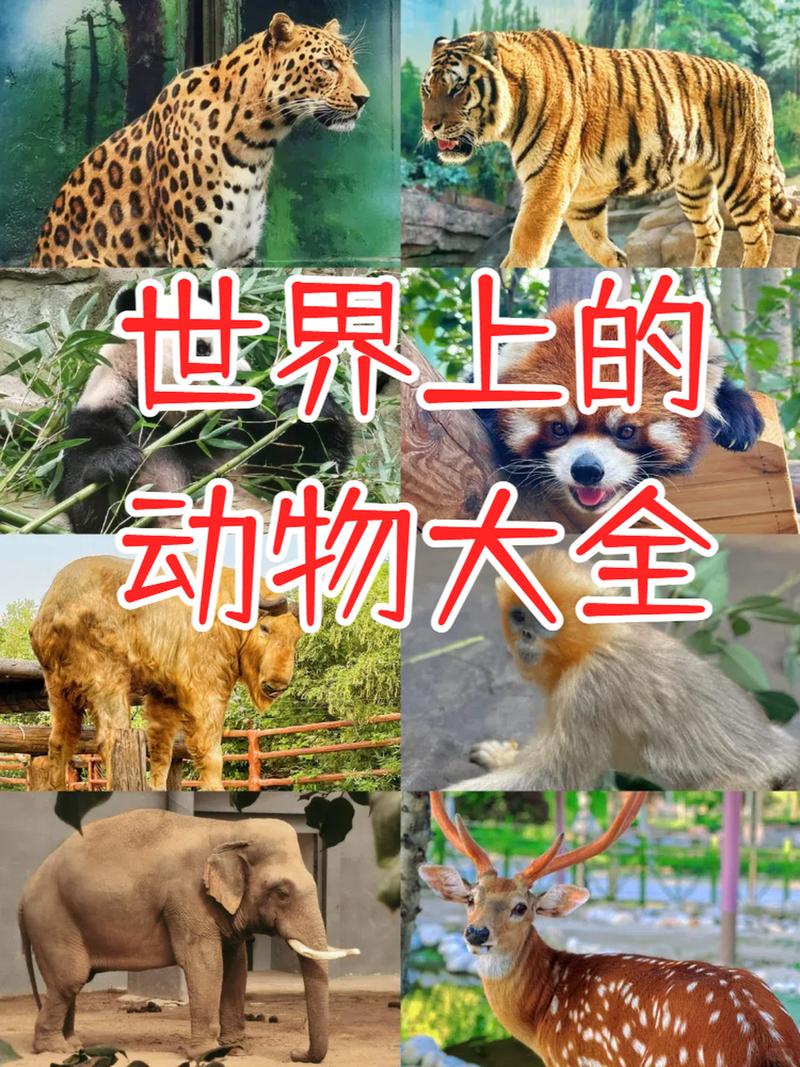 世界上有几种动物