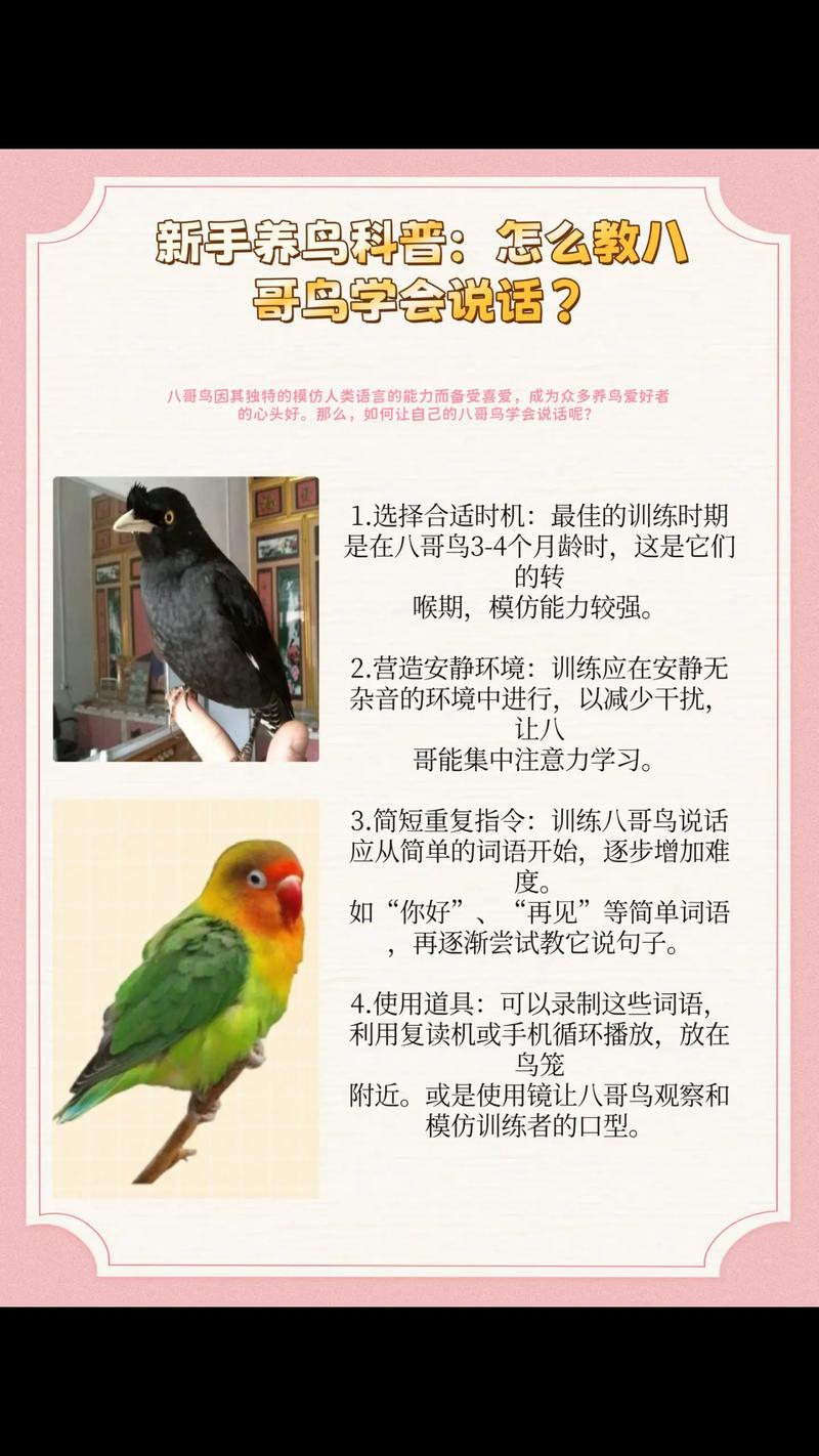 养八哥的好处和坏处?