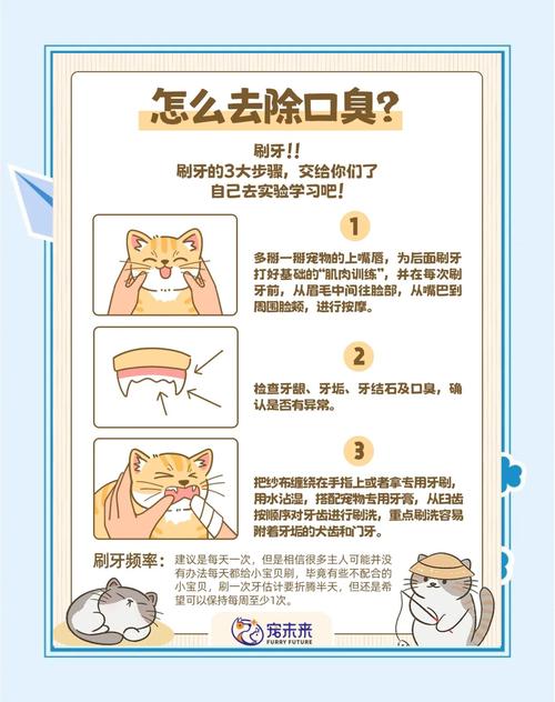 为什么猫咪容易有口臭