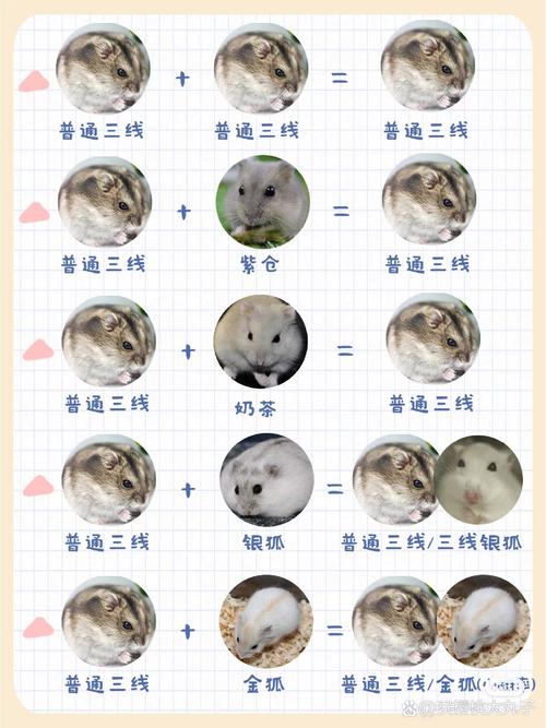 如何辨别紫仓和三线