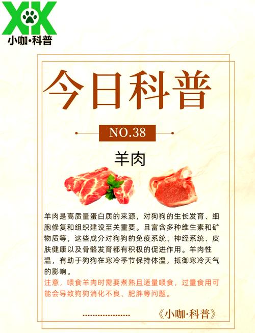 狗可以吃羊肉吗?