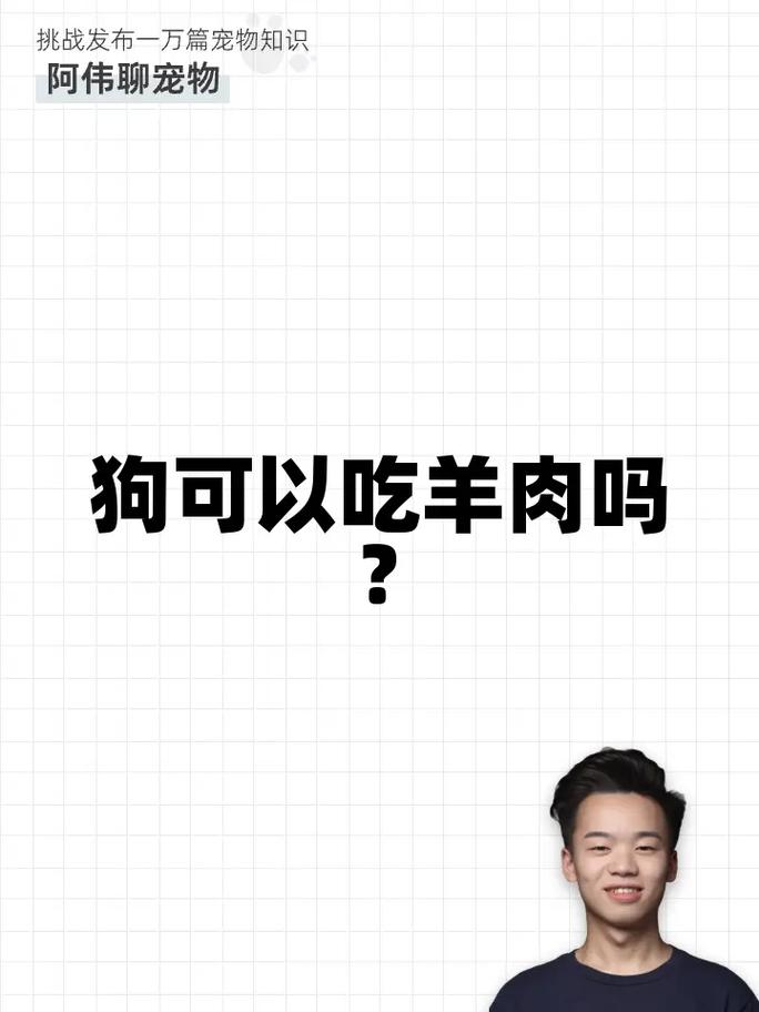 狗狗吃羊肉的好处