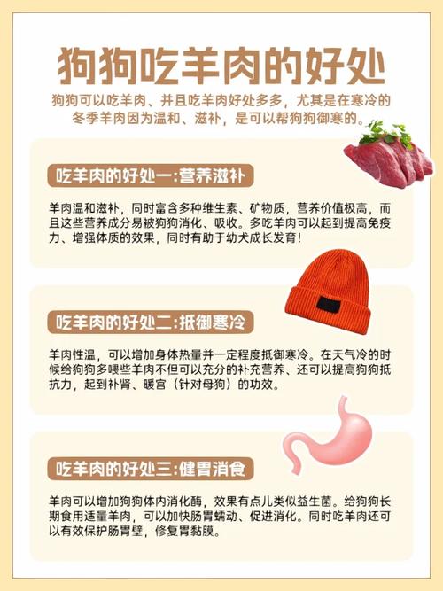我家狗特别喜欢吃羊肉,经常吃对它身体好吗?