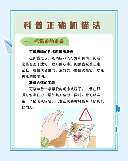怎么才能不让猫抓东西