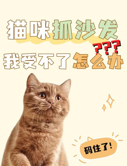 猫咪爱乱抓沙发家具怎么办?