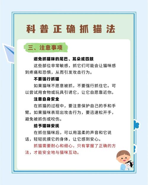 布偶猫乱抓东西怎么办?如何训练