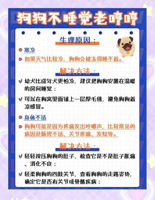 狗狗打瞌睡就是不睡觉,怎么办?