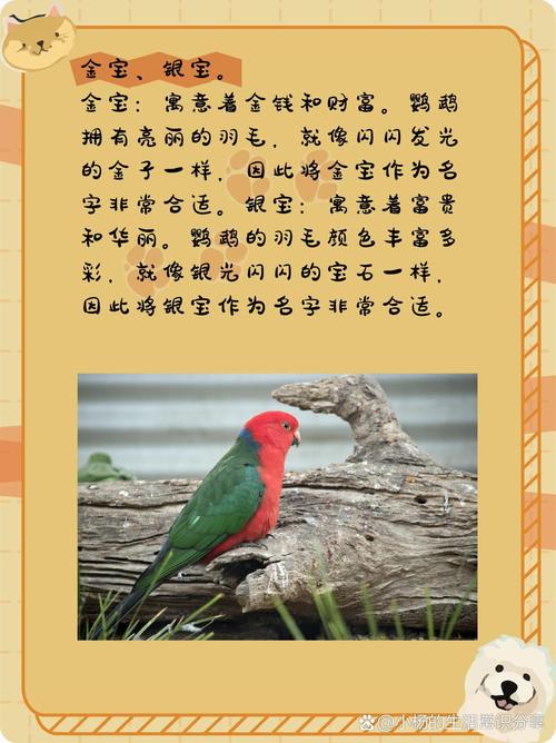 给鹦鹉取什么名字比较好
听啊?