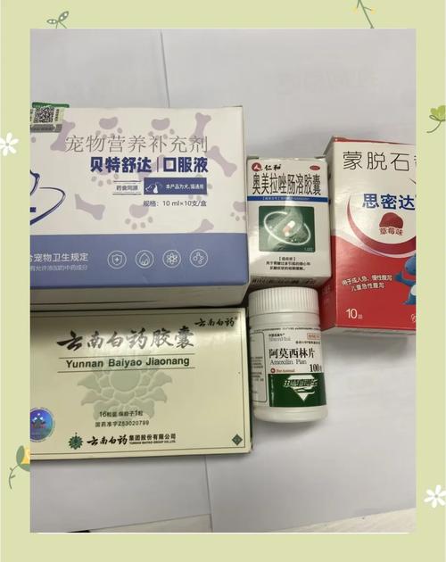 狗狗发烧拉肚子不吃东西