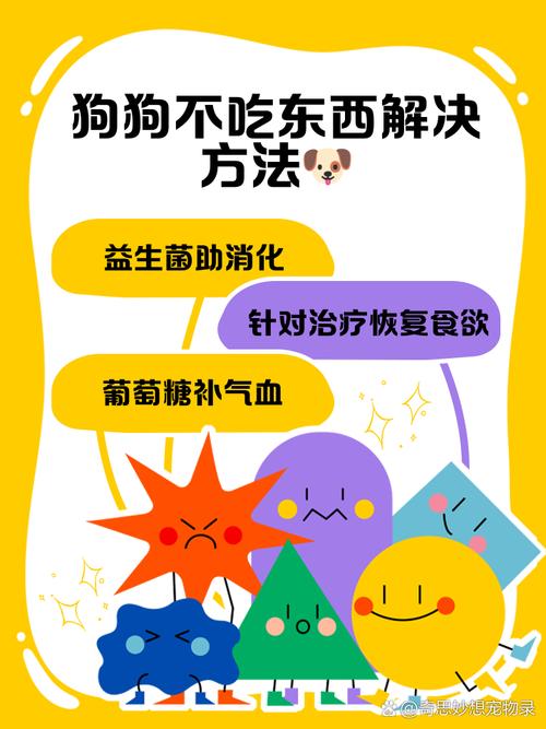 狗发烧拉肚子不吃东西怎么办