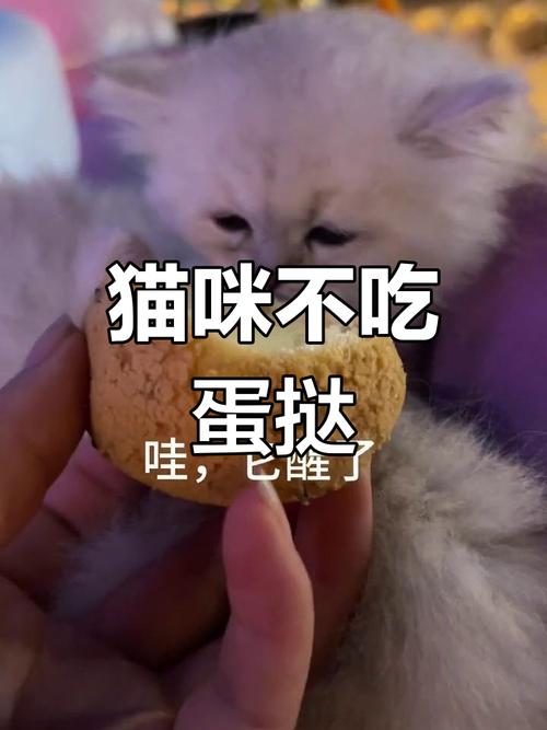 猫可以吃蛋挞吗