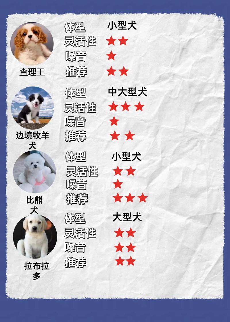 泰迪多大可以配种