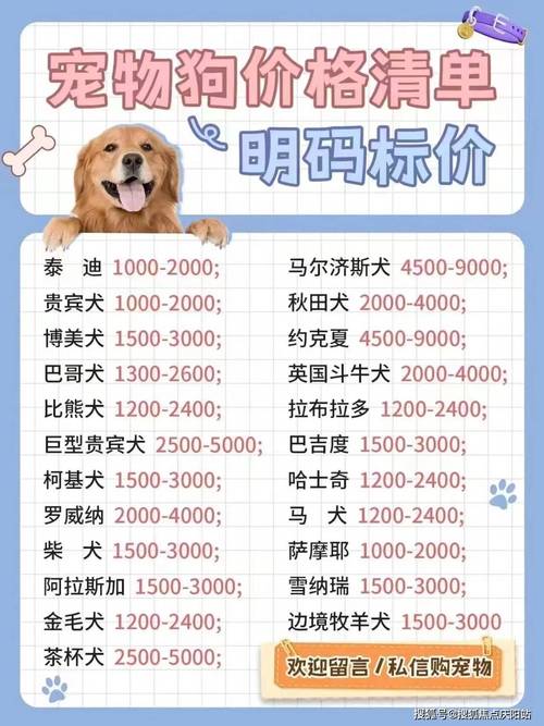 拉布拉多犬费用
多少钱一只啊