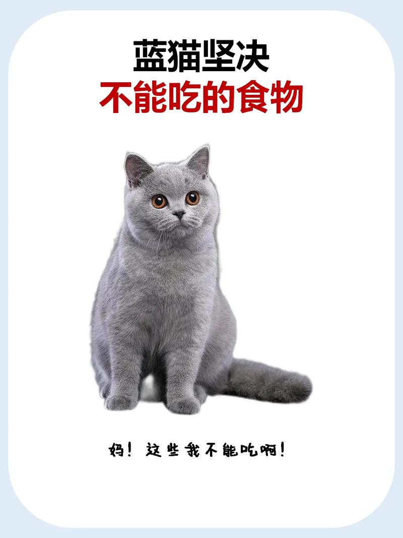 蓝猫能不能吃龙眼