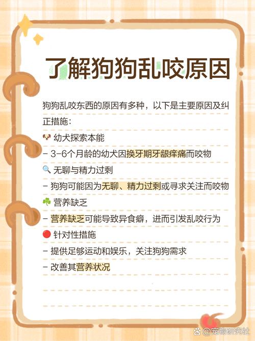 狗狗总是乱咬东西怎么办啊
