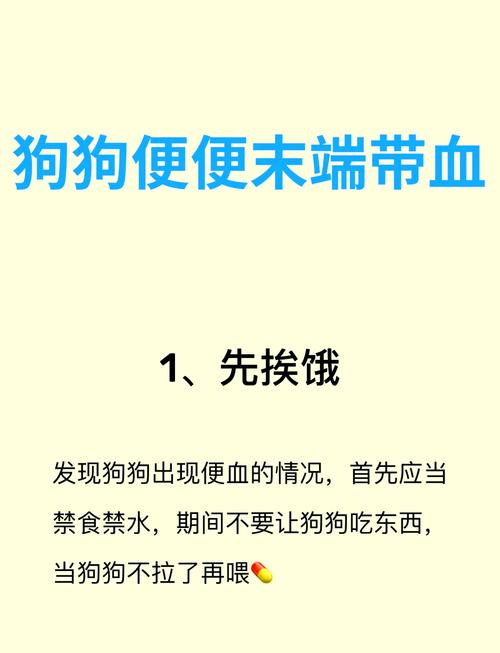 狗狗拉血便怎么治疗?