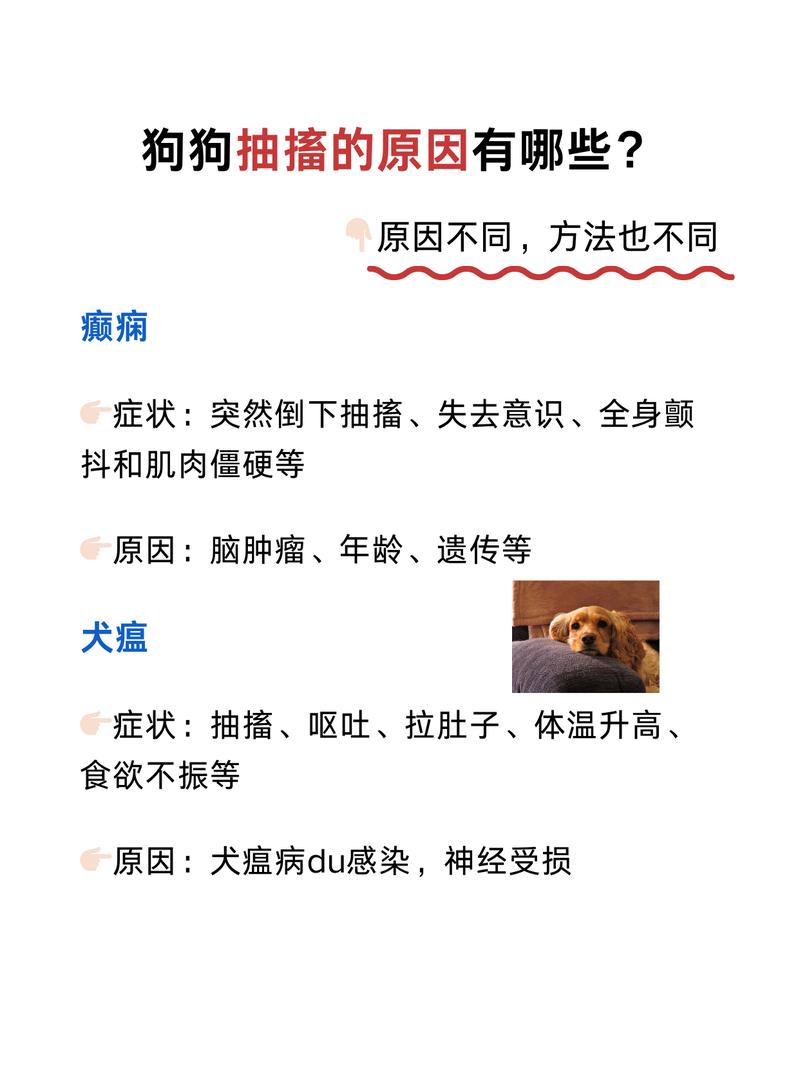 狗狗吃甲硝唑有副作用吗?