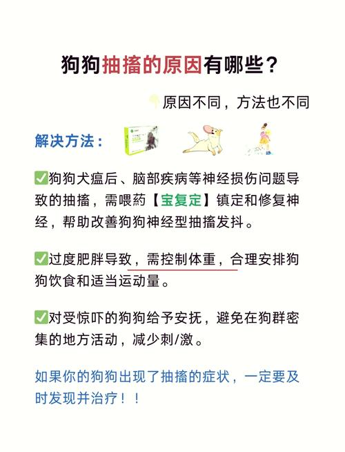 小狗吃甲硝唑后抽搐怎么办