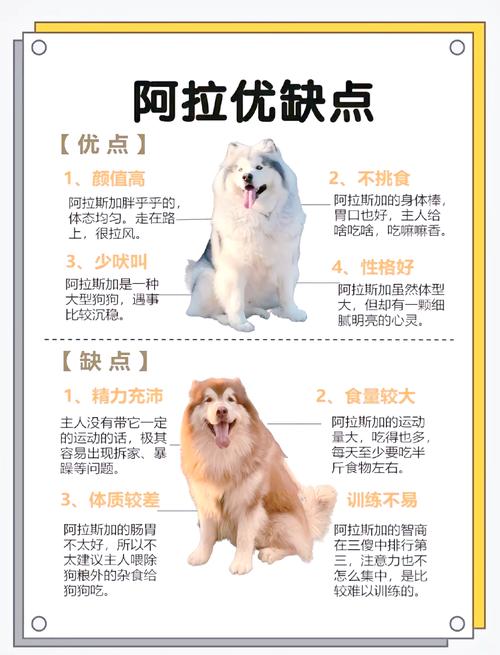 阿拉斯加犬的费用
`习性`和饮食问题