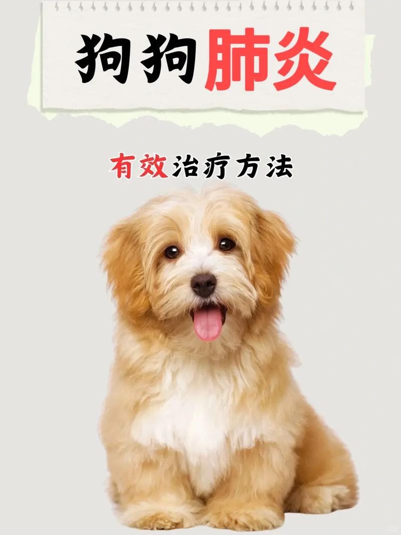 狗狗肺炎怎么治，狗狗肺炎怎么治疗大概多少钱