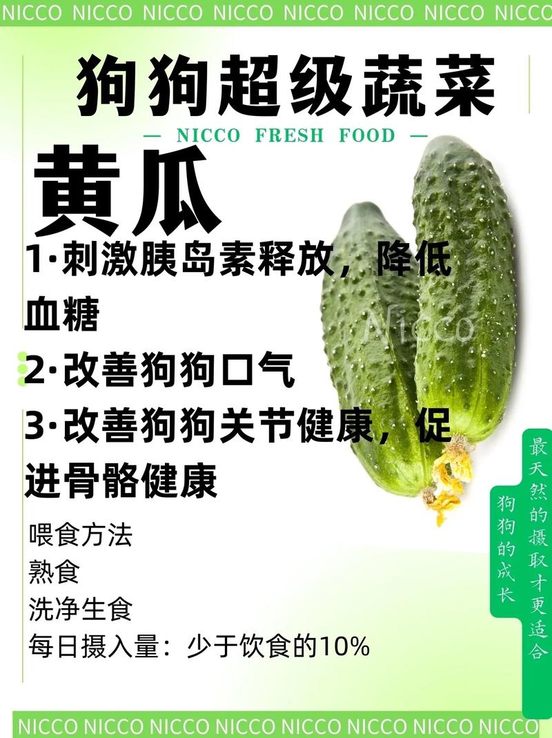 狗吃黄瓜的好处和坏处让狗狗吃黄瓜好不好