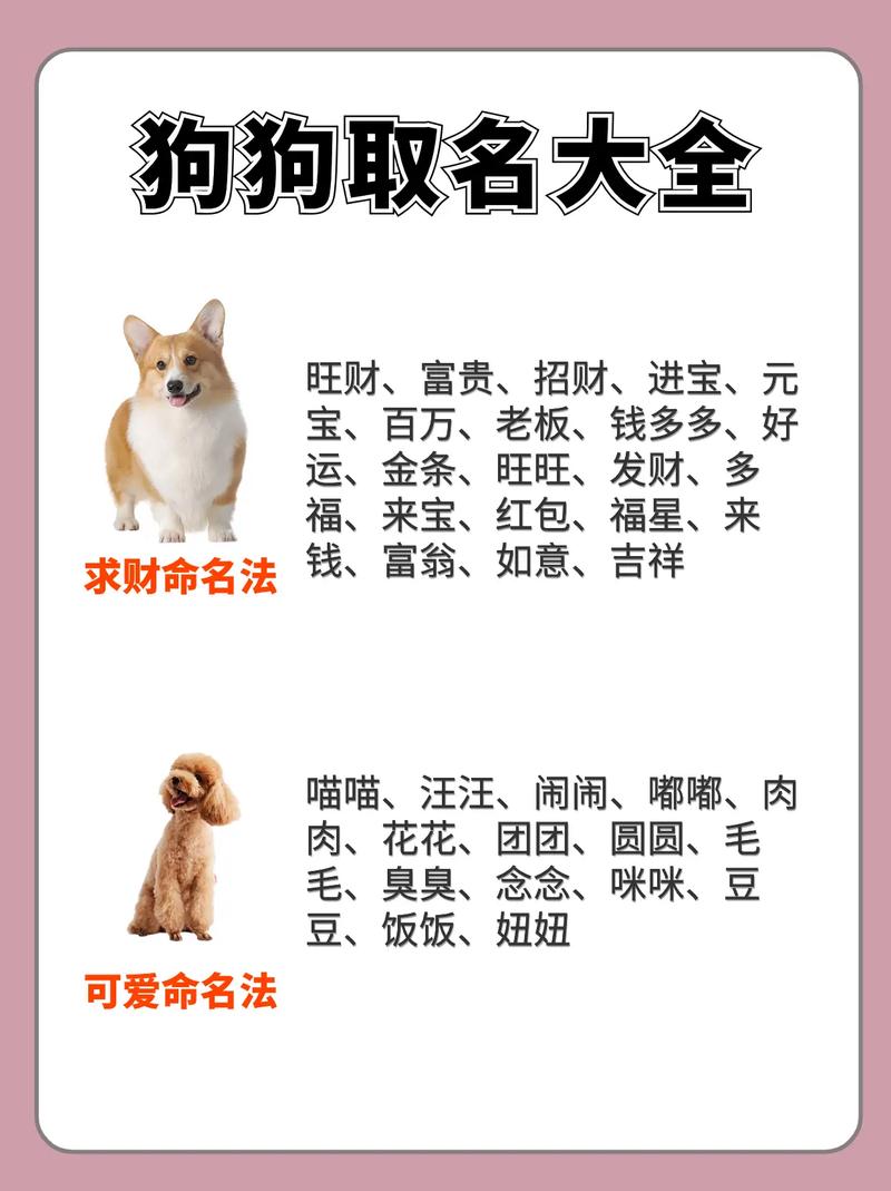 能分享100个极为动听的狗狗名字吗