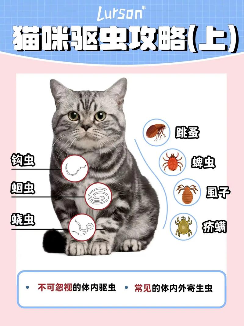 猫必须驱虫吗?为什么?