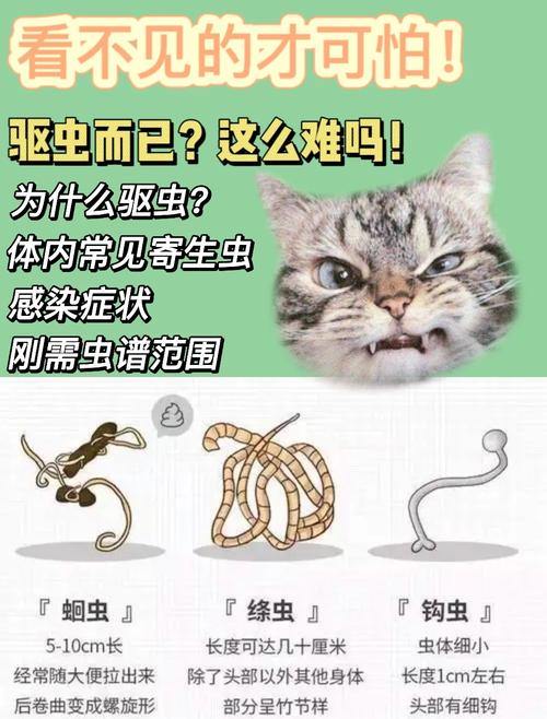 刚出生的猫要驱虫吗?为什么?