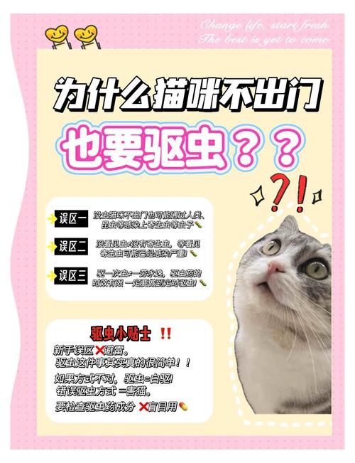 为什么不出门的猫咪也需要驱虫?