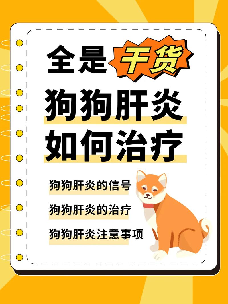 狗狗肝脏不好怎么调理，狗狗肝脏有问题的症状？