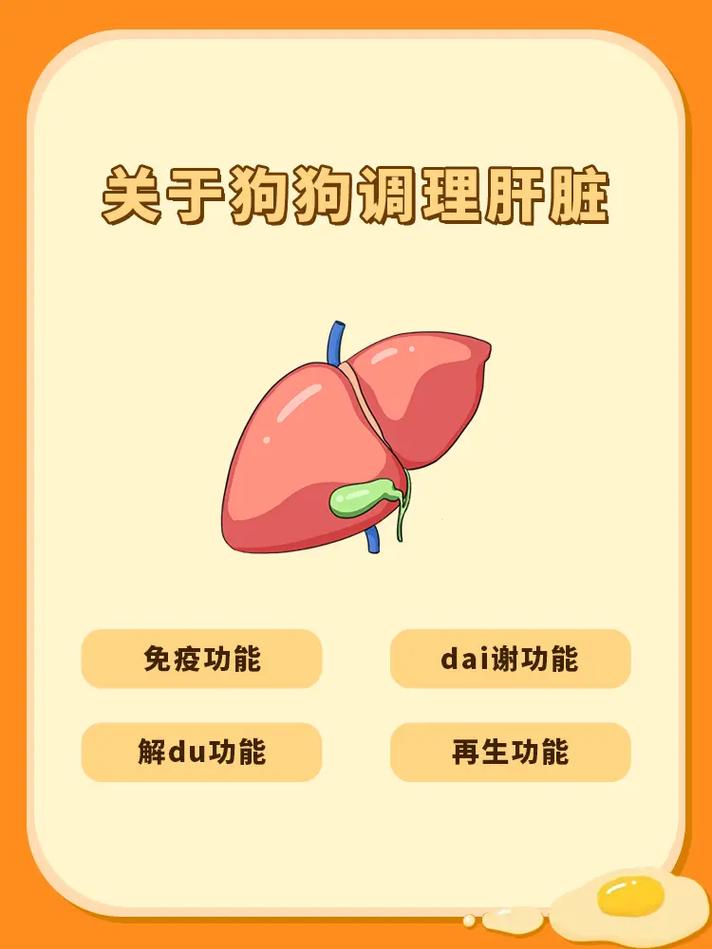 13岁狗狗的肝脏可能不好,请问吃什么药比较好?谢谢~