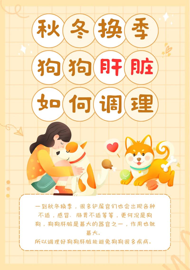 狗狗肝脏有问题吃些什么比较好