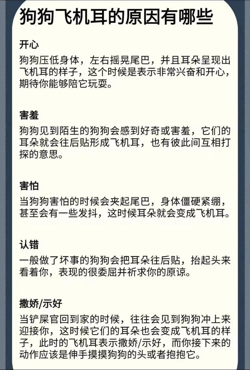 为什么狗狗会飞机耳